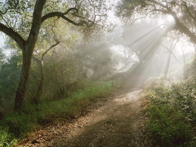 Douglas Family Preserve Santa Barbara California 640 x 480