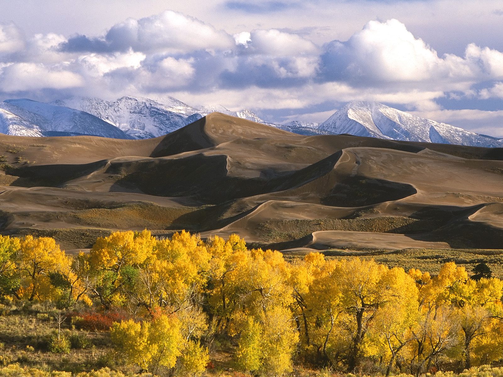 Dunes and Fall Color Colorado 1600 x 1200