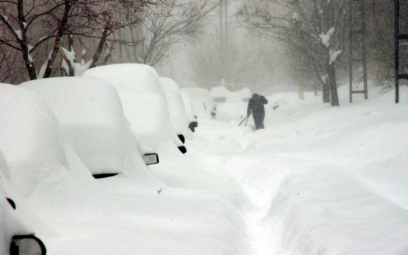 erzurum winter 1600 x 1002