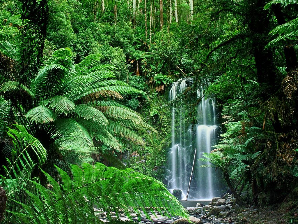 Sydney Beauchamp Falls Victoria 1024 x 768