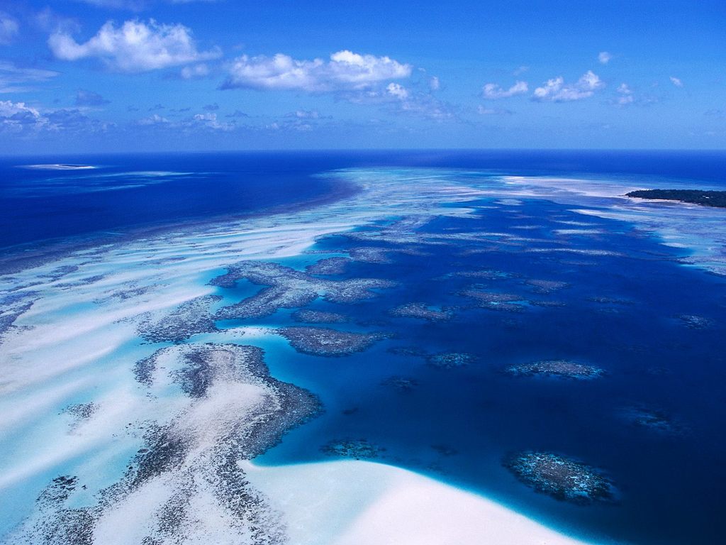 Sydney Coral Reef Torres Strait 1024 x 768