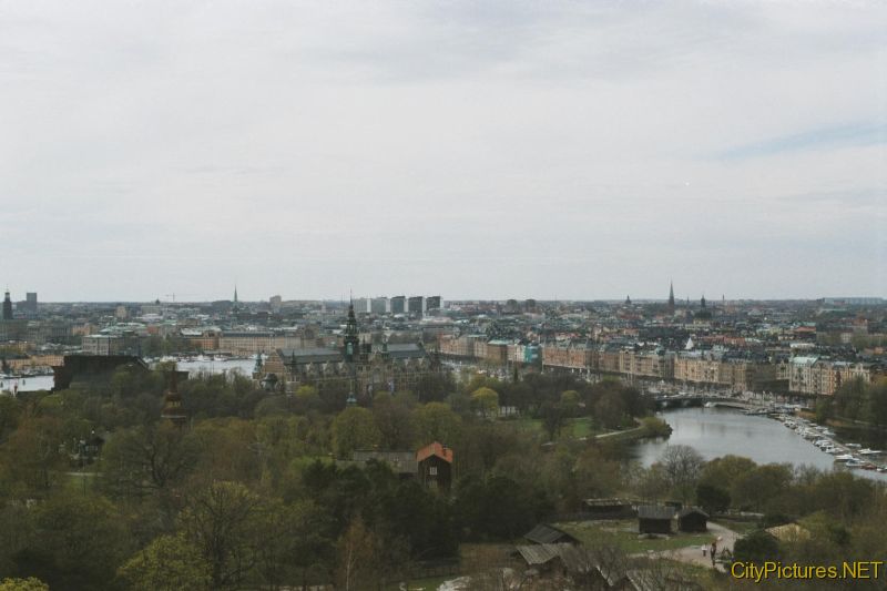 stockholm day 800 x 533