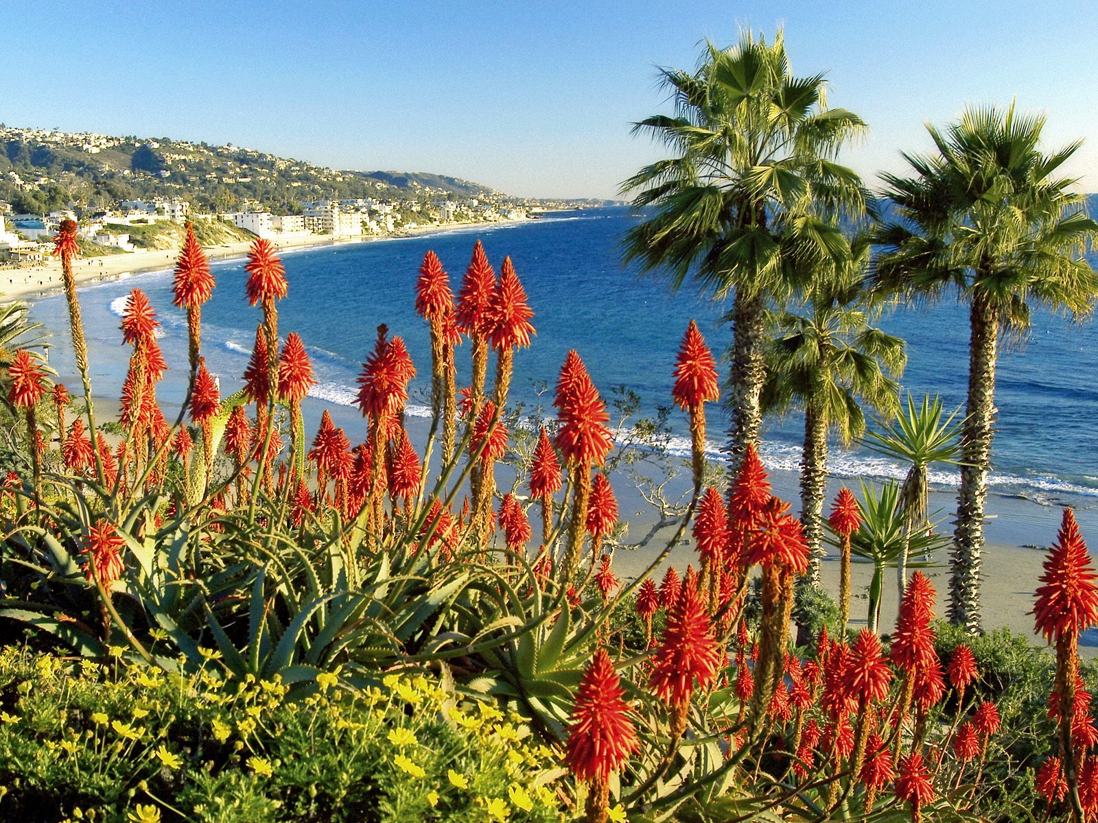 Laguna Beach California 1600 x 1200