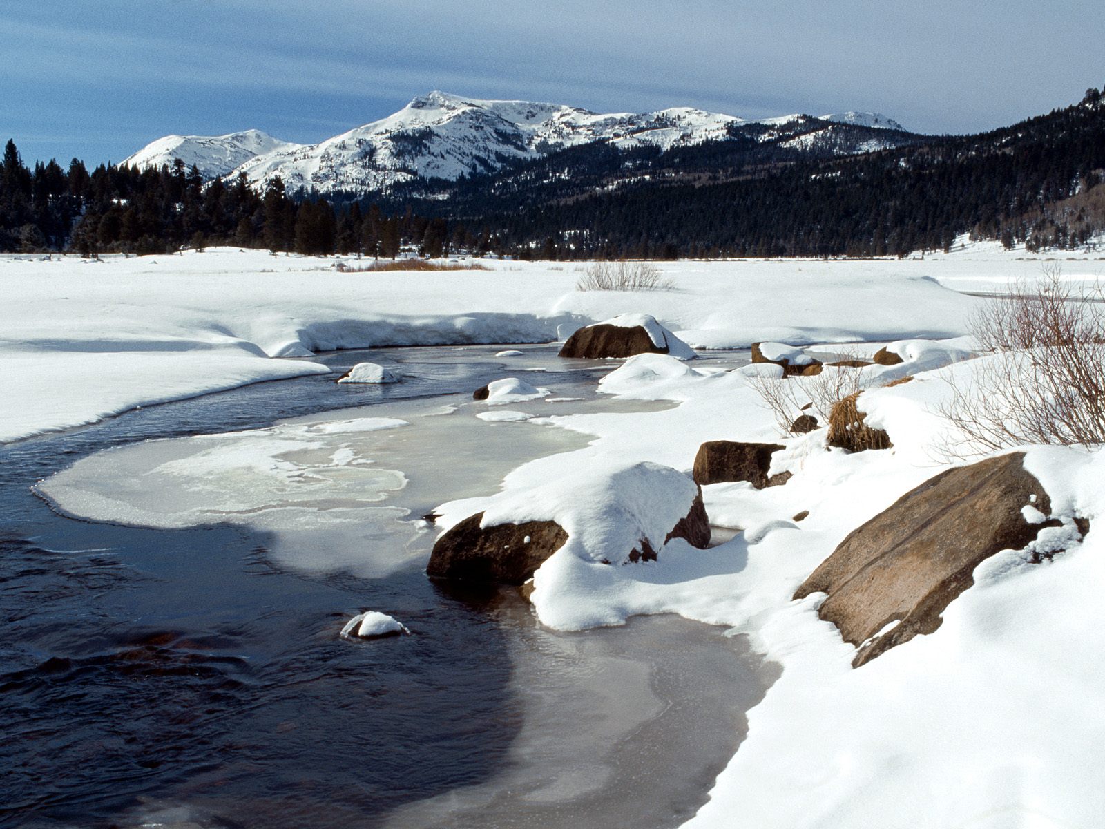 National Forest California 1600 x 1200