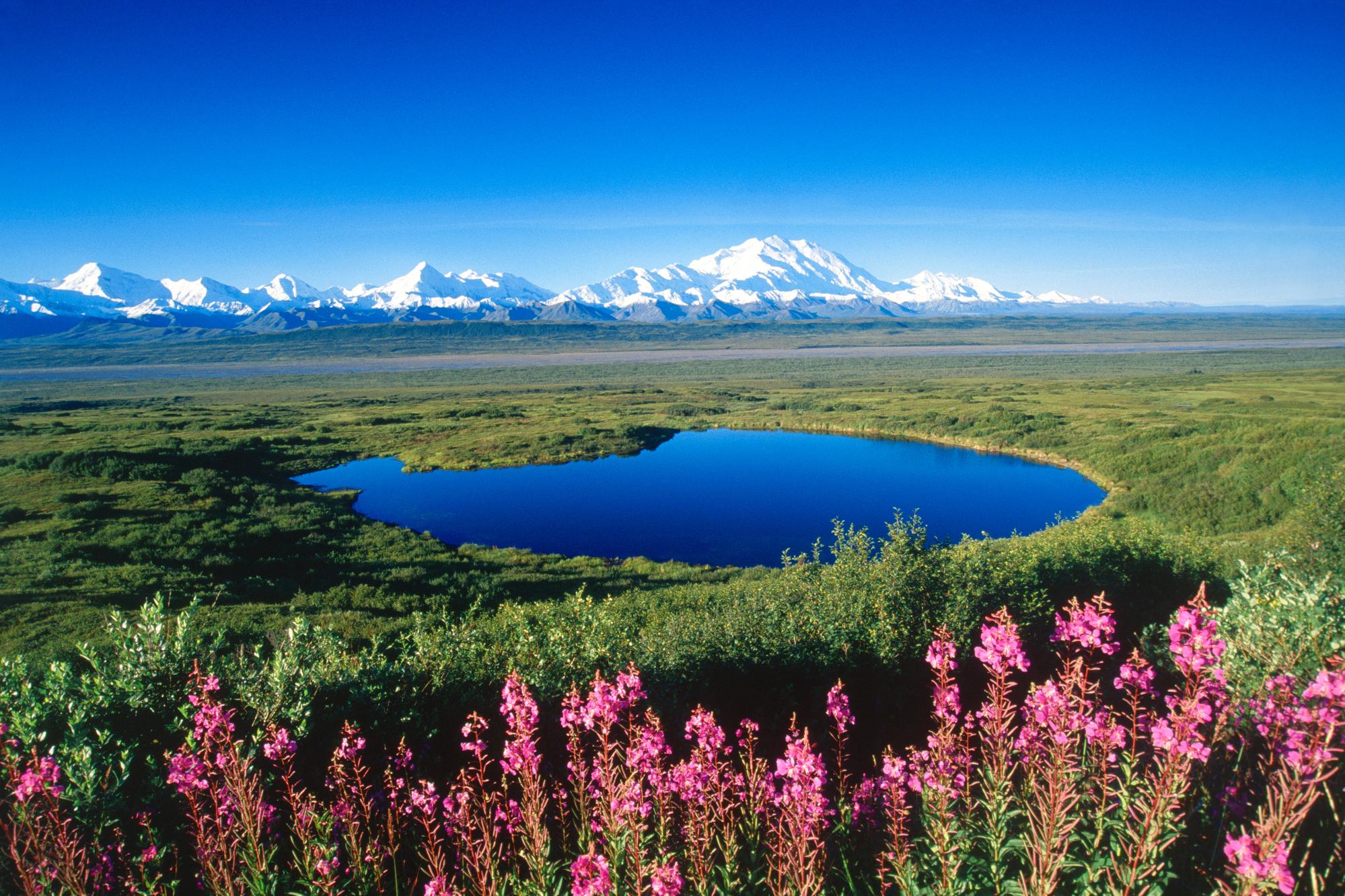 Denali NP Alaska 1999 x 1333