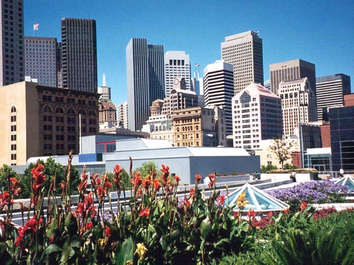 san francisco free 700 x 525