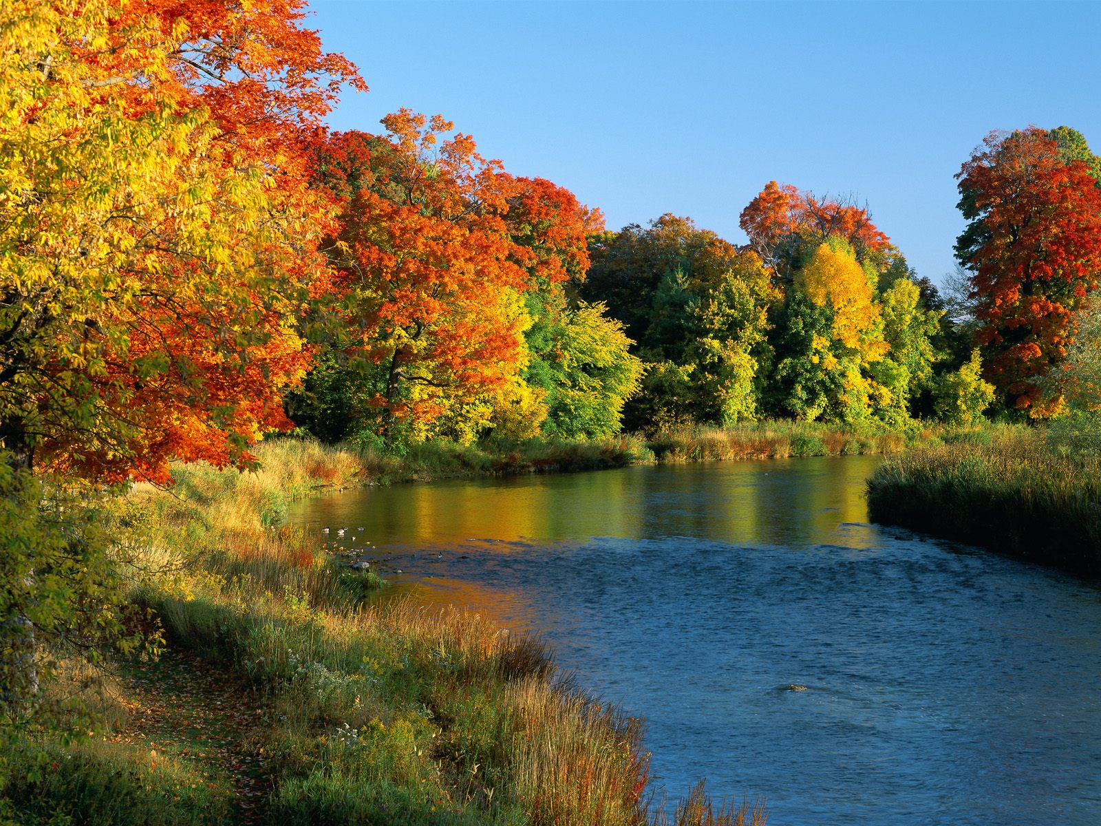 Credit River Ontario