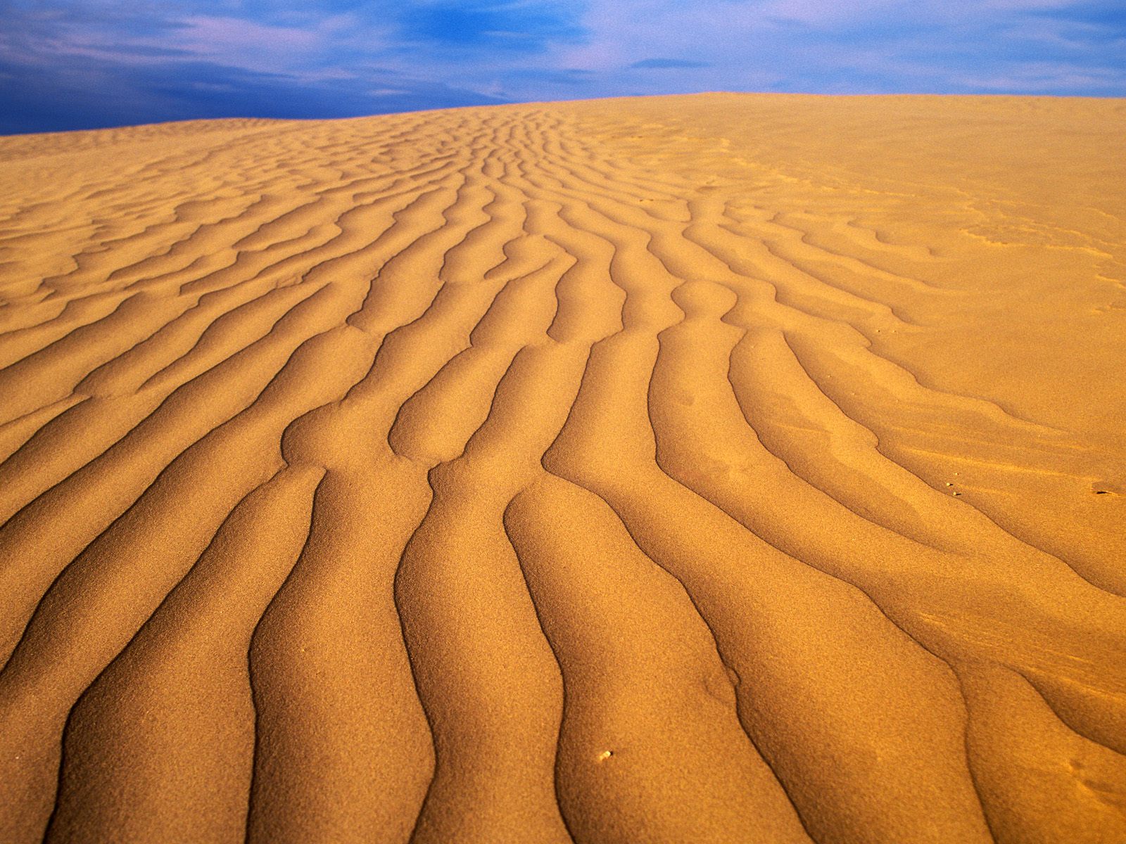 Great Sandhills Saskatchewan