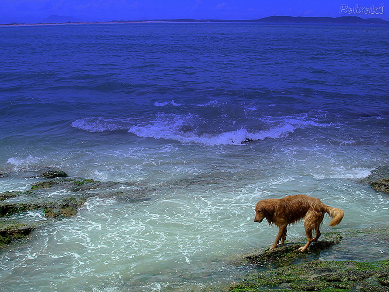 Co na praia