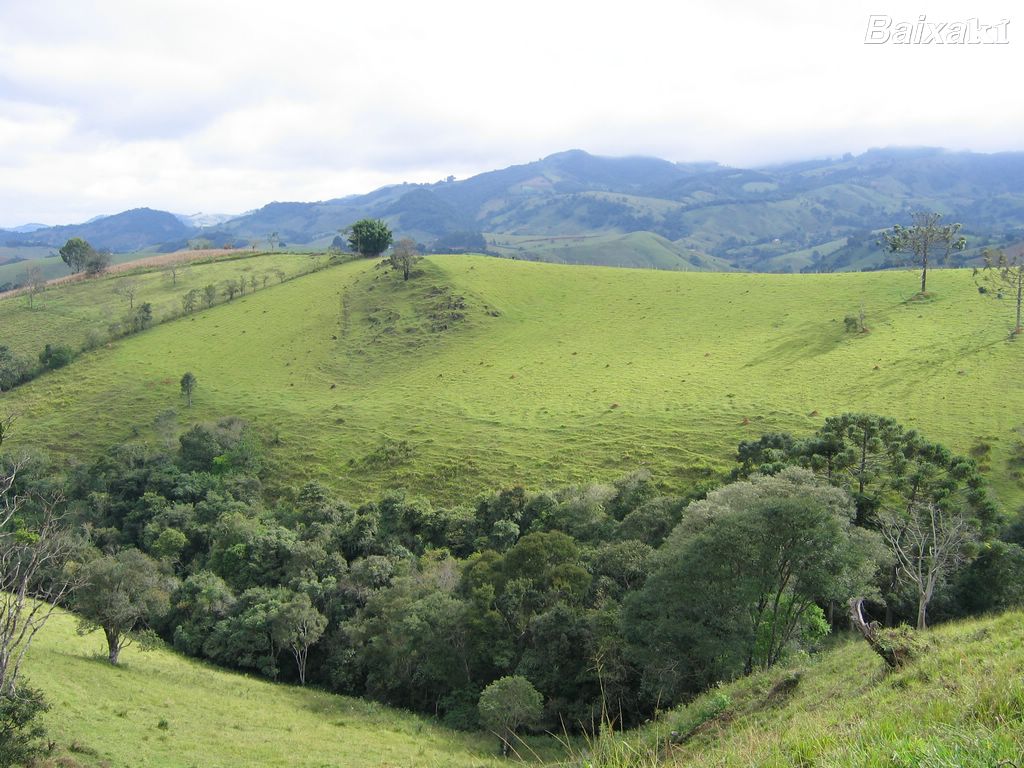 Minas Gerais