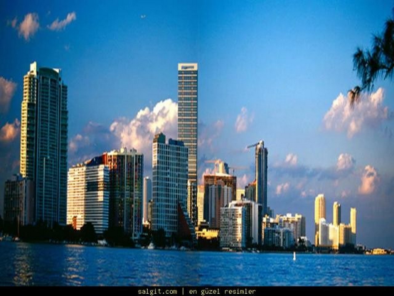 Miami wallpaper 1280 x 960