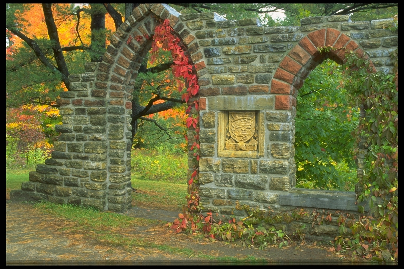 ruins in detroit