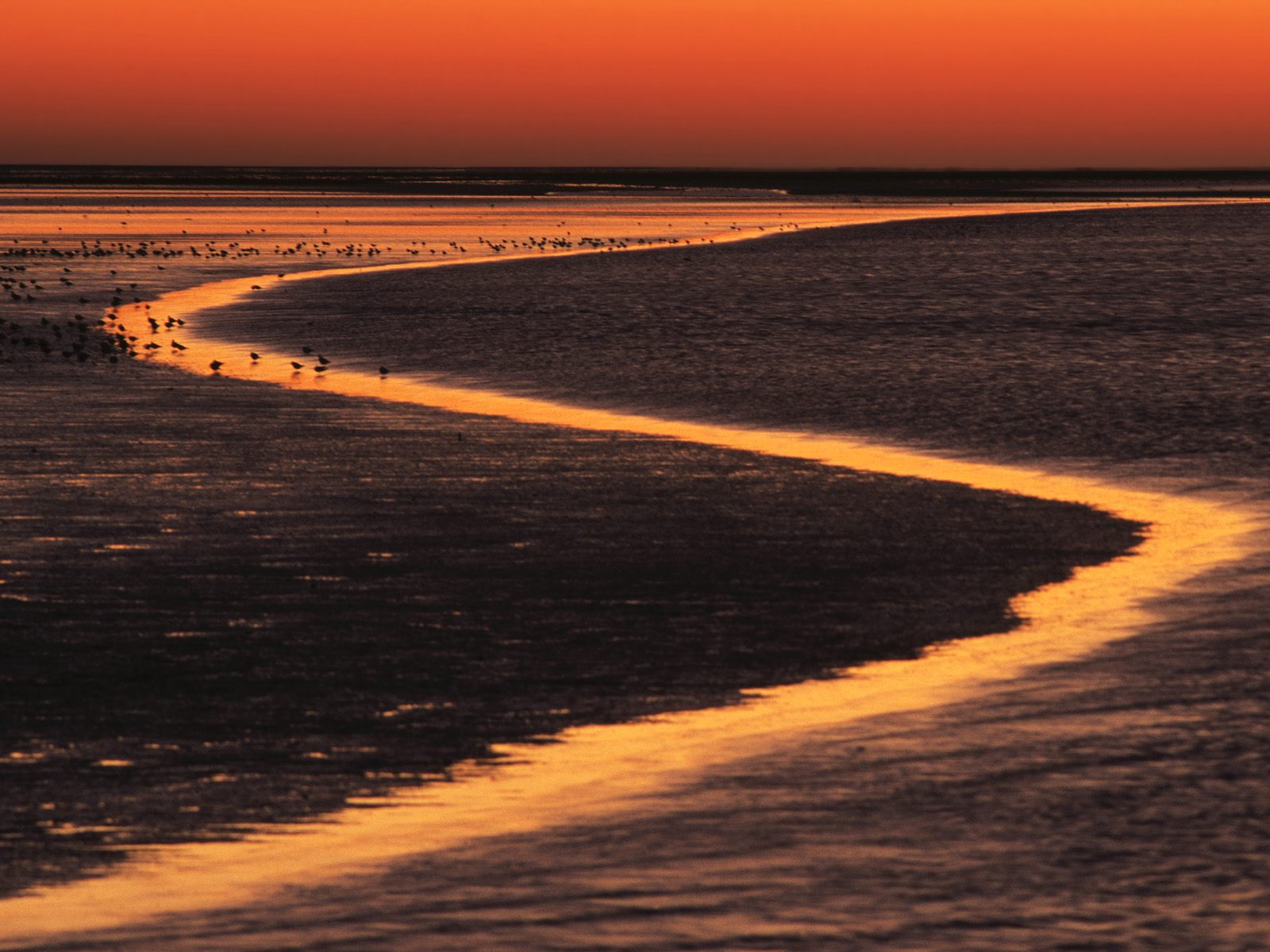 Wadden Island Estuary At Sunset The Netherlands