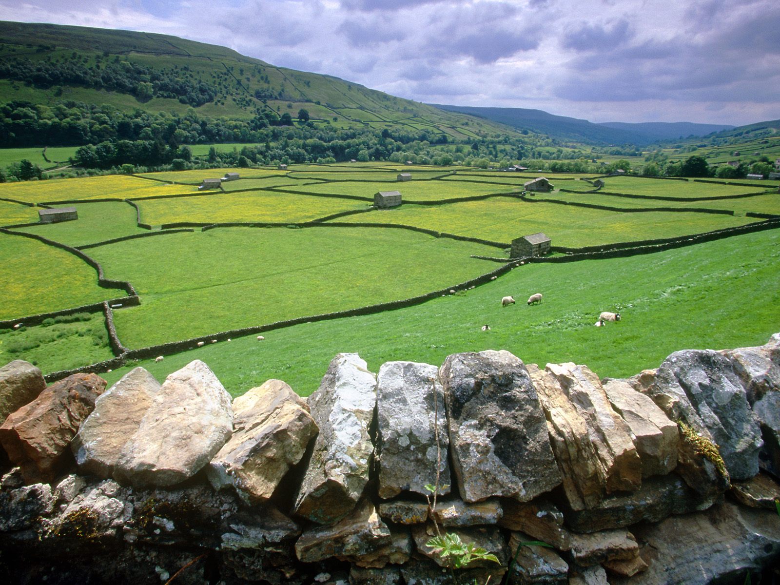 Muker Swaledale Valley Yorkshire