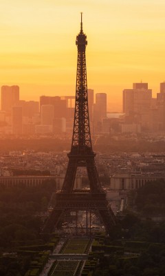 Paris morning 240x400