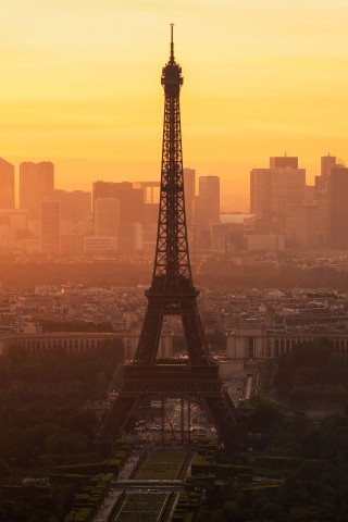 Paris morning 320x480