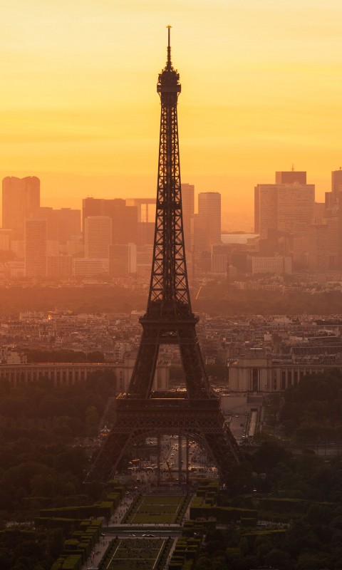 Paris morning 480x800