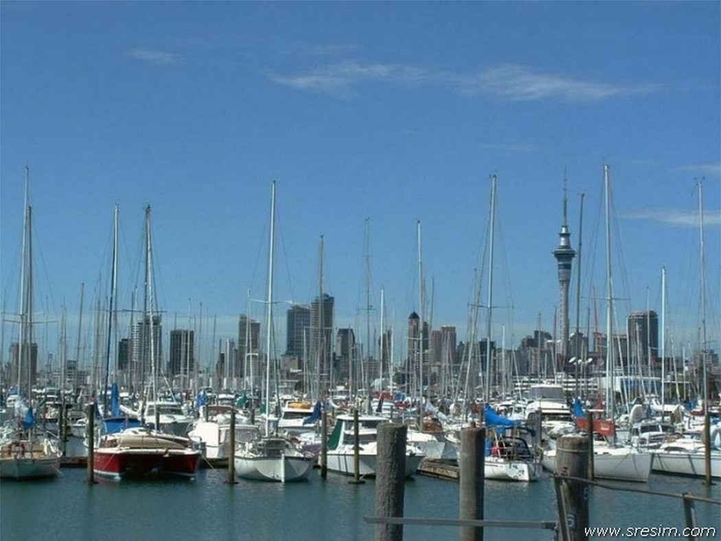 Auckland zelanda  1050 x 788