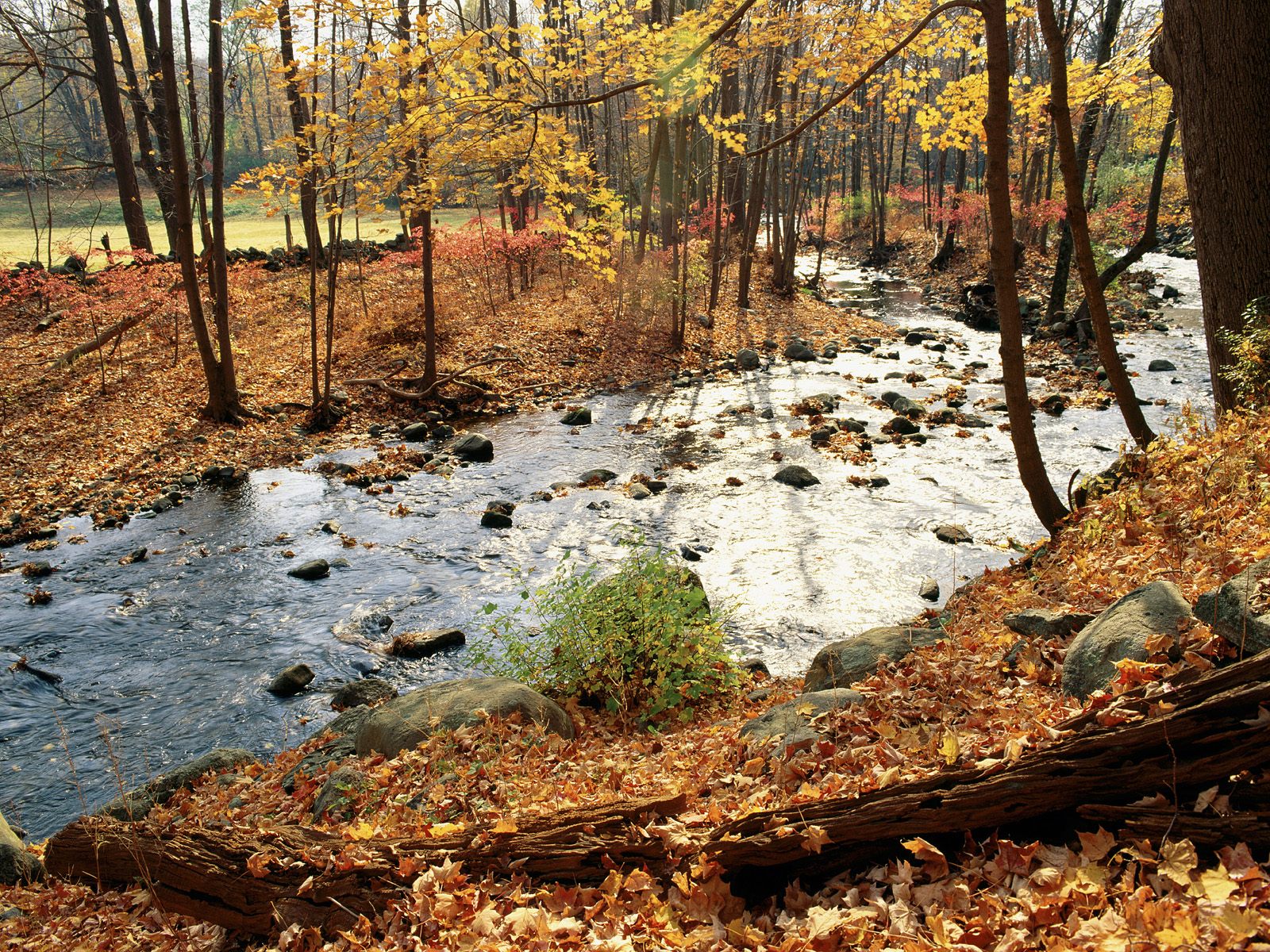 Westchester County in Fall 1600x1200