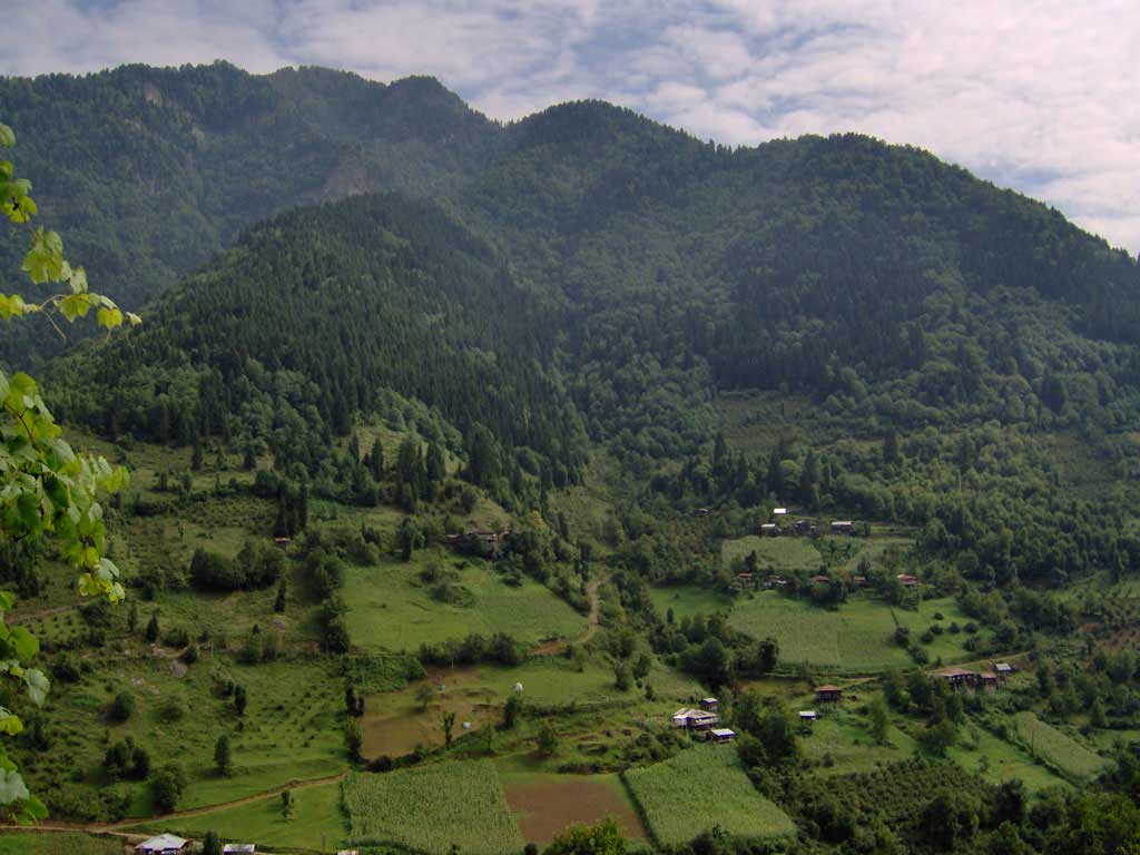 artvin yesil daglar 1024 x 768