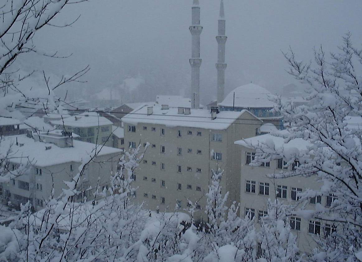 bartin winter 1163 x 843