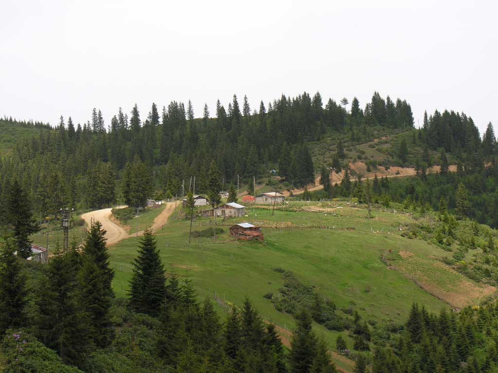 giresun yayla resimleri uzaktan 1024 x 768