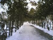 konya snowy roads 1152 x 864