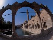 sanliurfa balikligol 1024 x 768