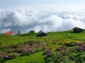 trabzon yayla 1024 x 768