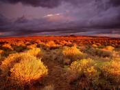 Antelope Valley California 1600 x 1200