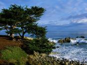 Pacific Grove California 1600 x 1200