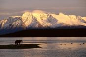 MOUNT KATOLINAT ALASKA 2000 x 1333