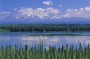 Wrangell Saint Elias National Park 1999 x 1333