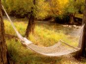 Peaceful Hammock Near a Stream Colorado 1600 x 1200