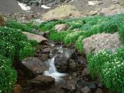 Sangre de Cristo Mountains Colorado 1600 x 1200