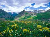 Yankee Boy Basin Ouray Colorado 1600 x 1200