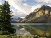 Bow Lake Banff National Park Alberta