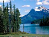 Maligne Lake Jasper National Park Alberta