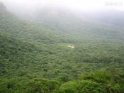 Serra do Mar Paran