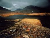 Rondane National Park