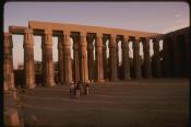 The Columns of Ancient Egypt