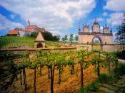 Austrian Vineyard