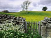 Swaledale Valley Yorkshire