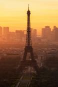 Paris morning 320x480