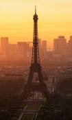 Paris morning 480x800