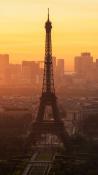 Paris morning 640x1136