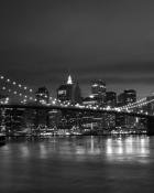 New York Black White 320x400