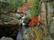 Sumacs Along the North Fork of the Bouquet River Adirondack Park 1600x1200